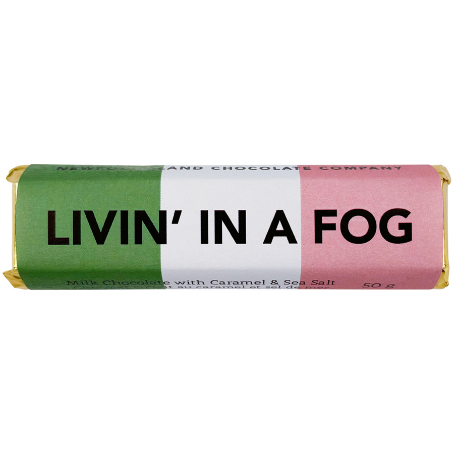 NL SAYINGS BAR LIVIN' IN A FOG